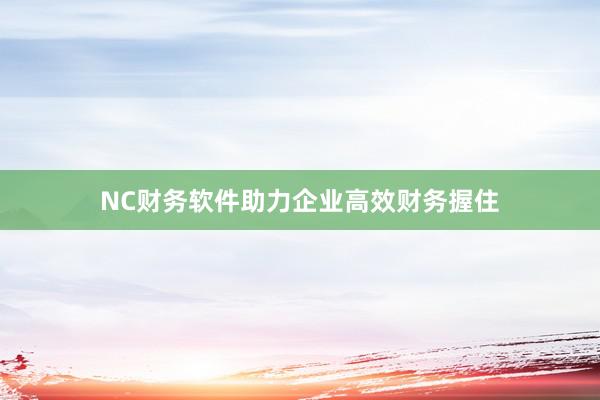 NC财务软件助力企业高效财务握住