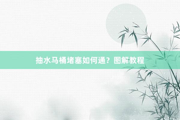 抽水马桶堵塞如何通？图解教程