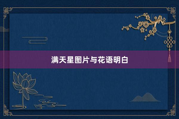 满天星图片与花语明白