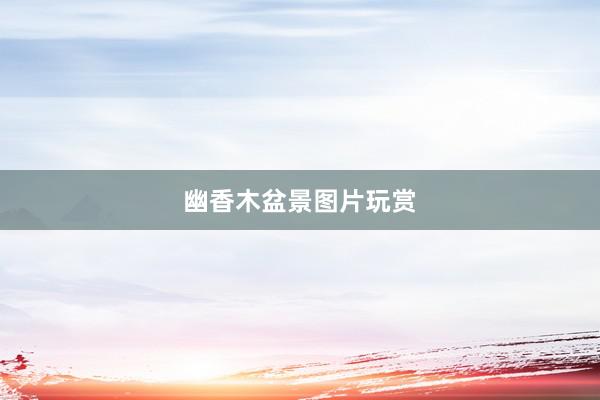 幽香木盆景图片玩赏