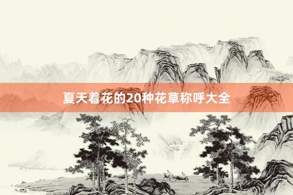 夏天着花的20种花草称呼大全