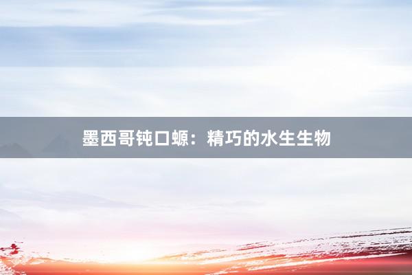墨西哥钝口螈：精巧的水生生物